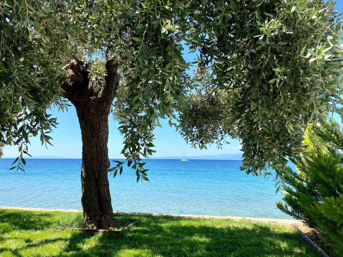 Manolis Studios Thassos Skála Kallirákhis 외부 사진