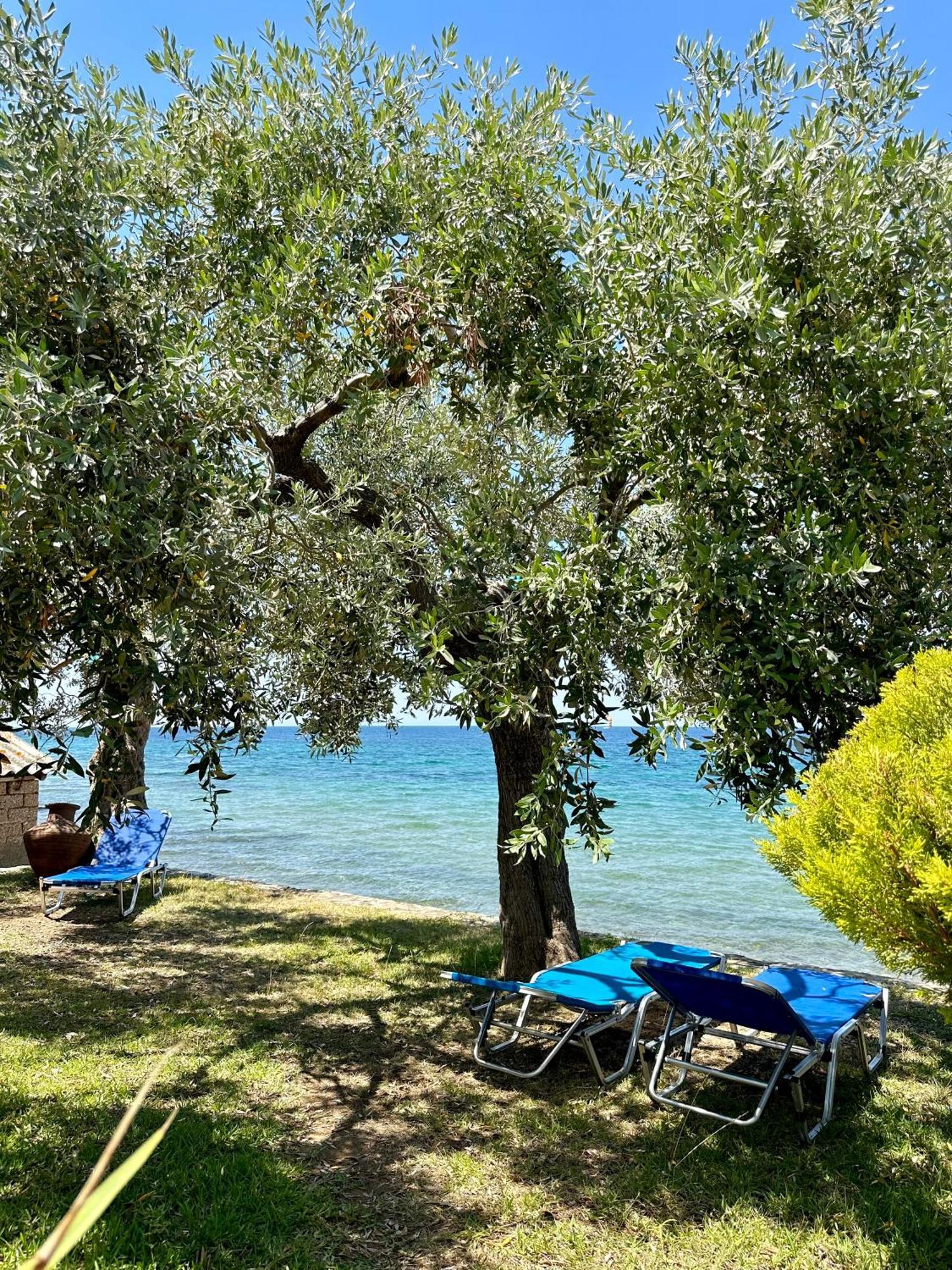 Manolis Studios Thassos Skála Kallirákhis 외부 사진